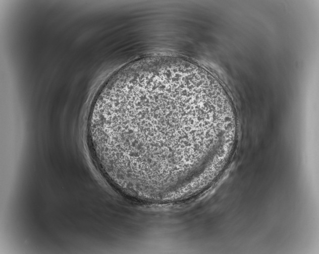 X0000094330049200711301236