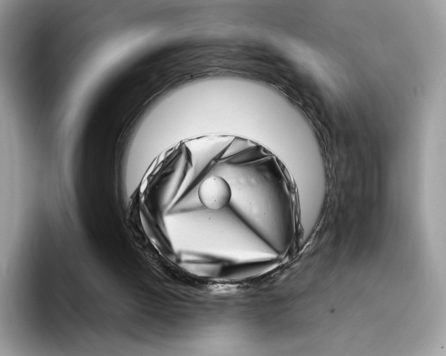 X0000094330052200711301236