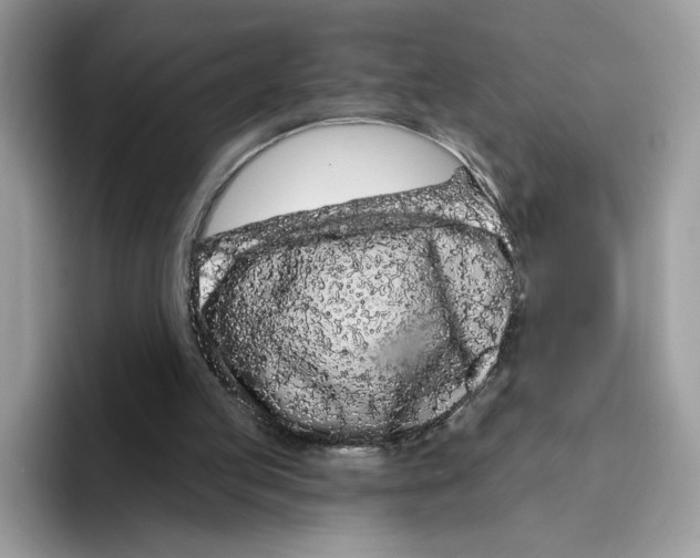 X0000094330053200711301237