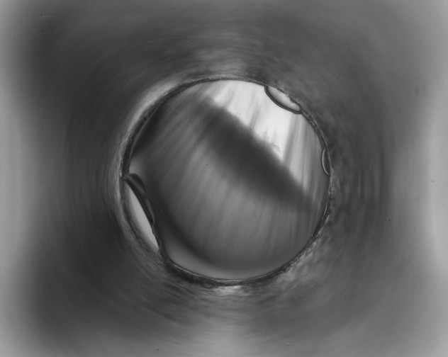 X0000094330054200711301237