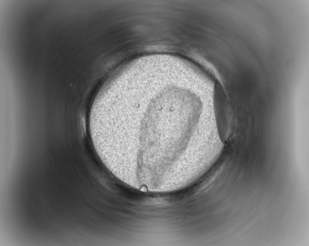 X0000094330061200711301237