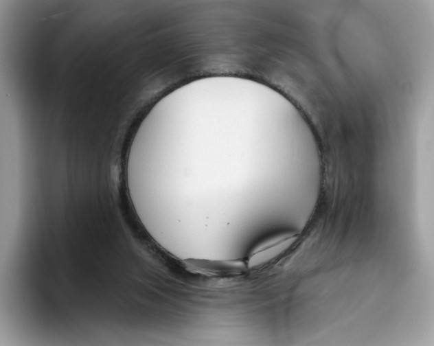 X0000094330063200711301237
