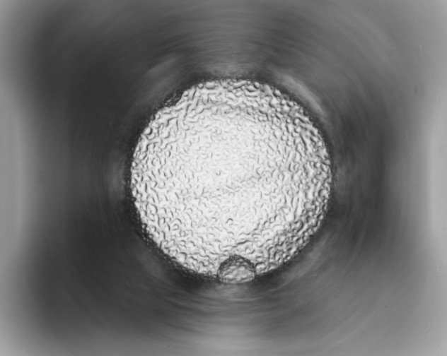 X0000094330065200711301237