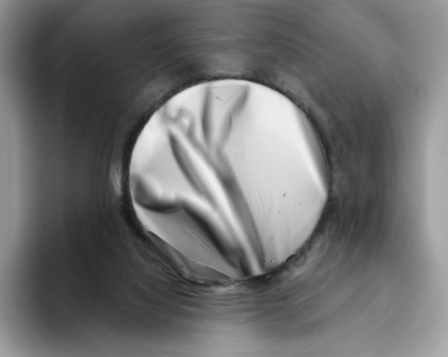 X0000094330068200711301237
