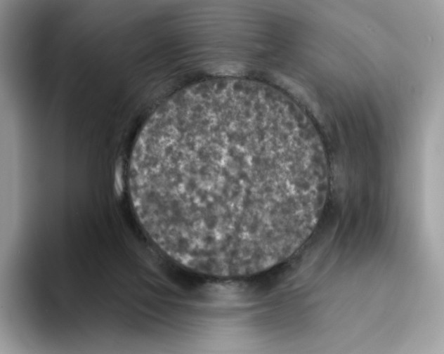 X0000094330069200711301237
