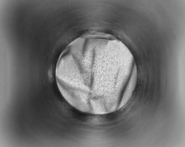 X0000094330074200711301237