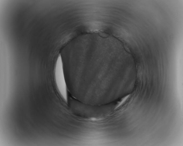 X0000094330076200711301237