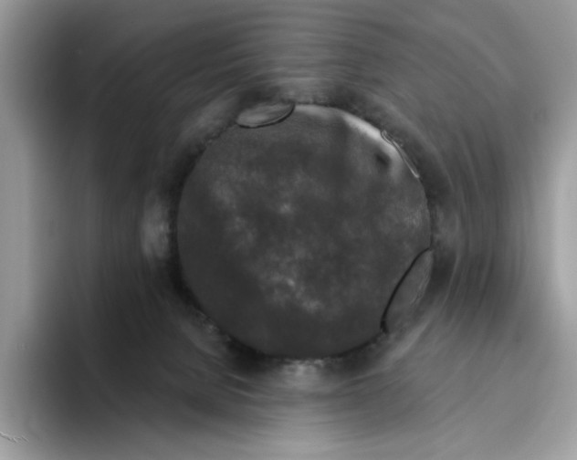 X0000094330080200711301237