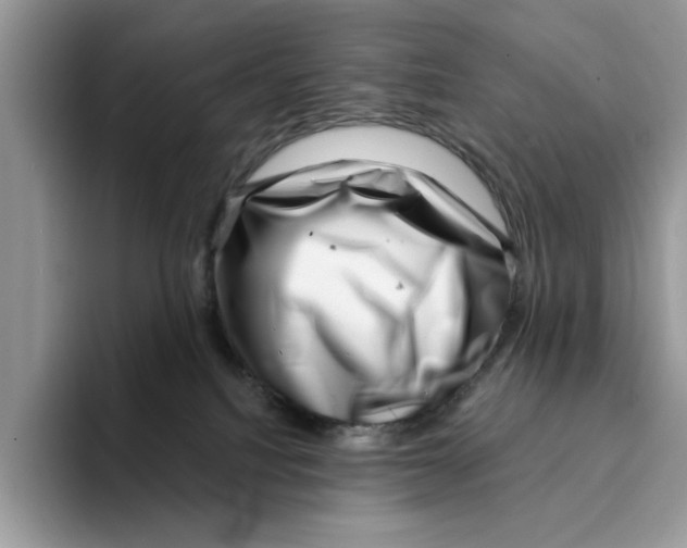 X0000094330088200711301237