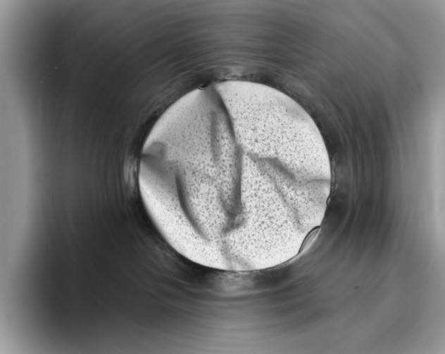 X0000094330094200711301237