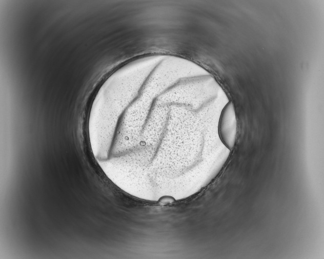 X0000094330098200711301236