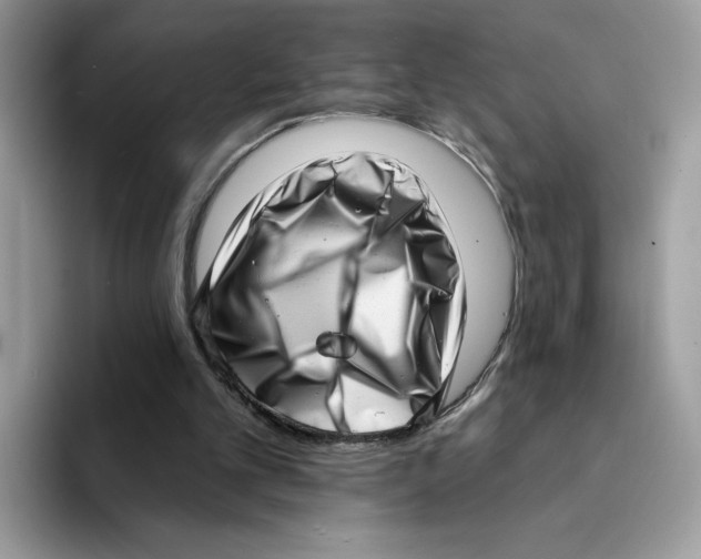 X0000094330101200711301236