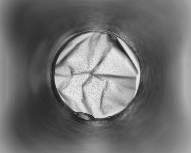 X0000094330103200711301236