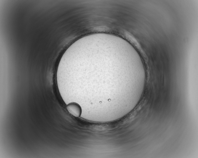 X0000094330106200711301236