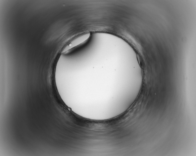 X0000094330107200711301236