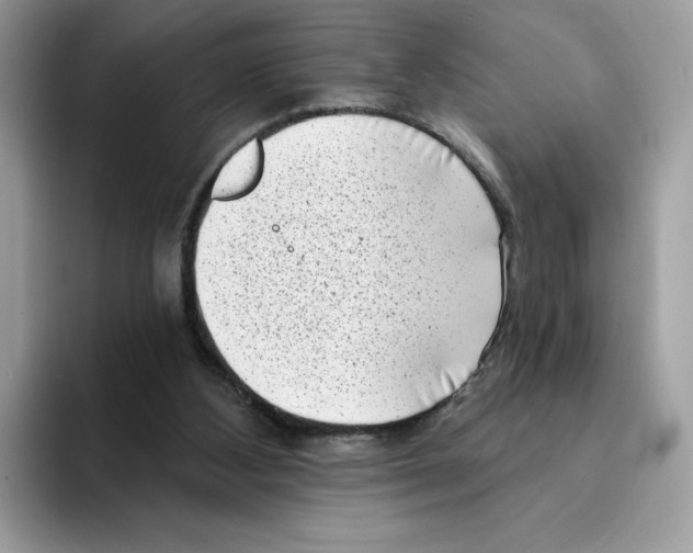 X0000094330108200711301236