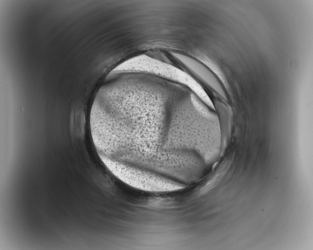 X0000094330109200711301236