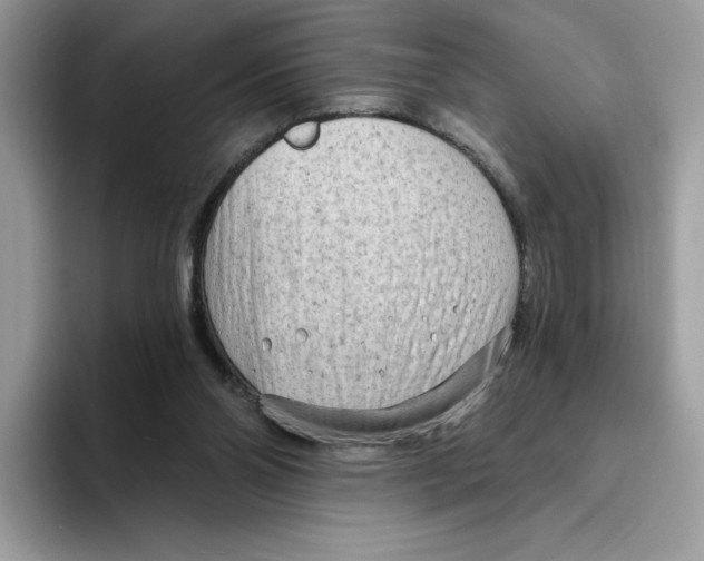 X0000094330110200711301236