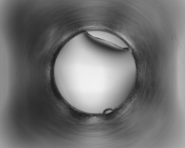 X0000094330111200711301236