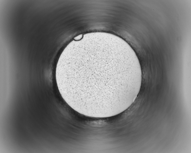 X0000094330112200711301236