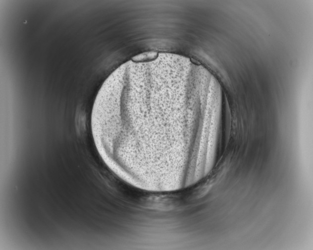 X0000094330117200711301236