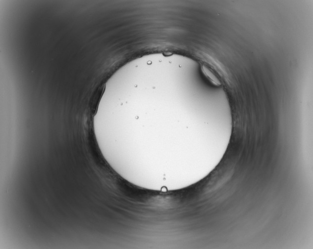 X0000094330119200711301236