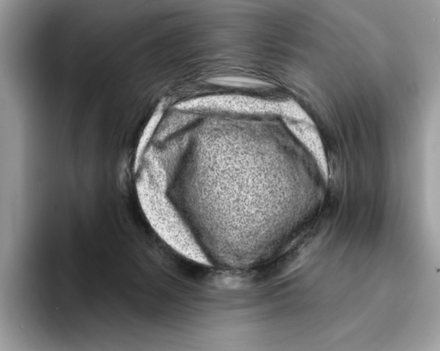 X0000094330127200711301236