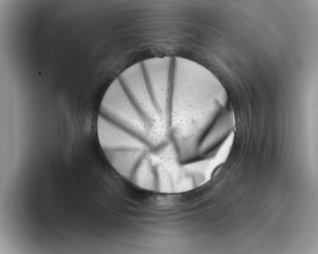 X0000094330134200711301236