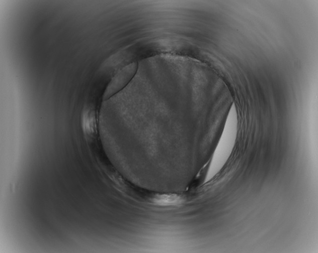 X0000094330137200711301236