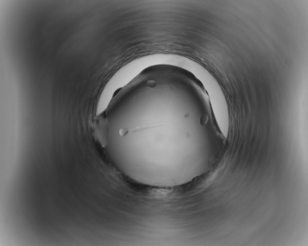 X0000094330139200711301236