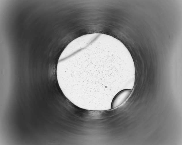 X0000094330144200711301236