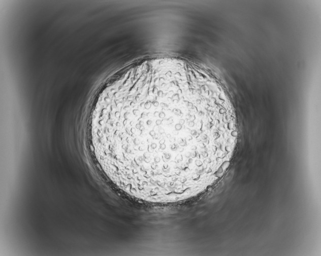 X0000094330145200711301235