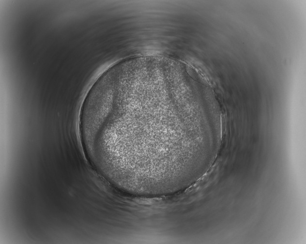 X0000094330147200711301235