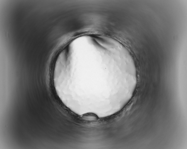 X0000094330149200711301235