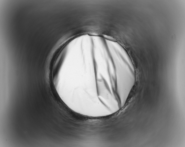 X0000094330150200711301235