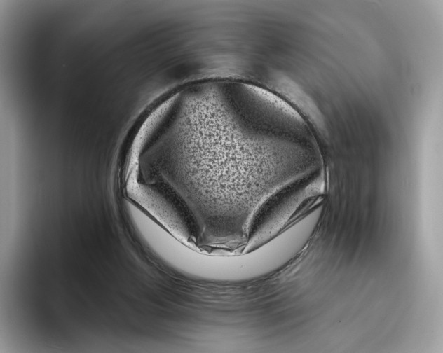 X0000094330156200711301235