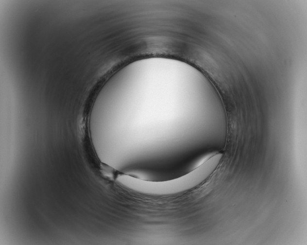 X0000094330160200711301235