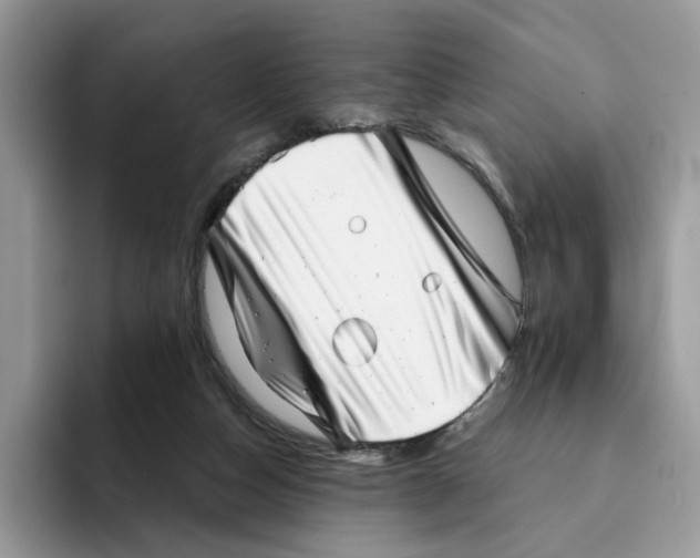 X0000094330162200711301235