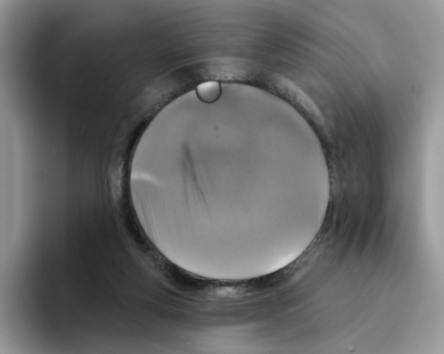 X0000094330163200711301235