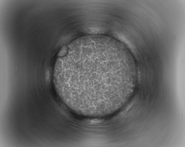 X0000094330165200711301235