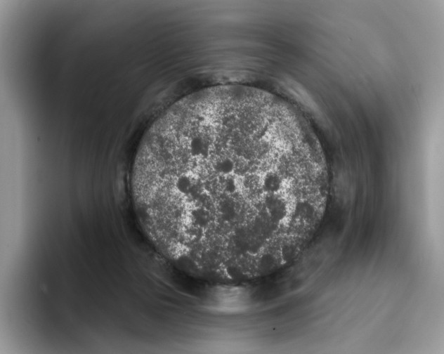 X0000094330169200711301236