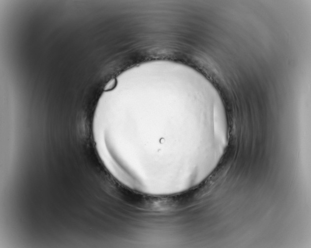 X0000094330173200711301236