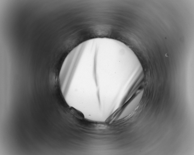 X0000094330176200711301236