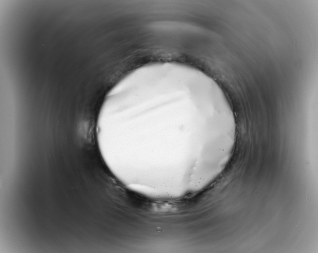 X0000094330177200711301236