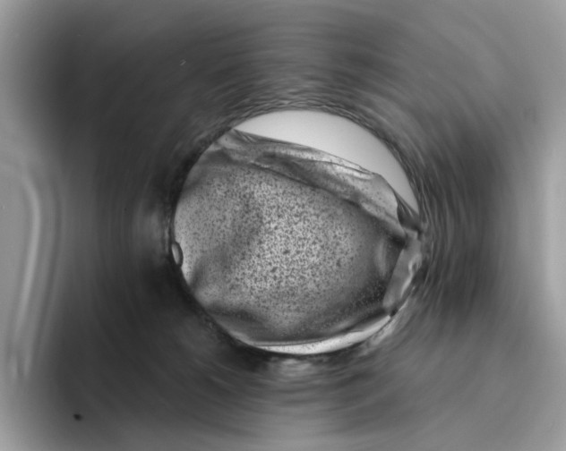 X0000094330180200711301236