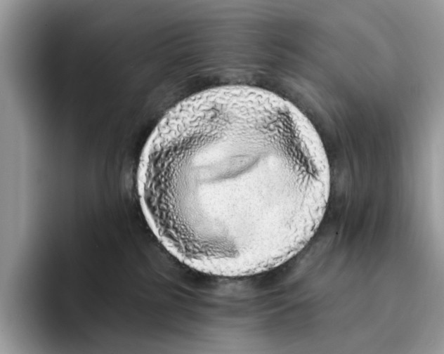 X0000094330185200711301236