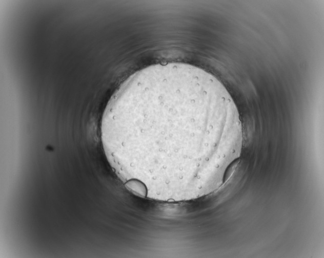 X0000094330187200711301236