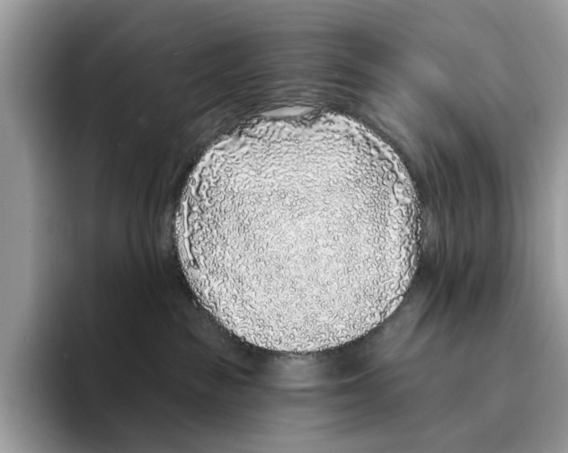 X0000094330189200711301236