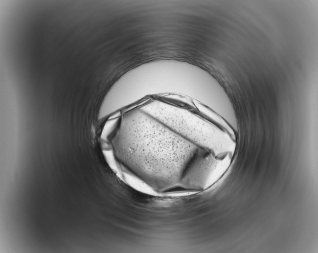 X0000094330190200711301236