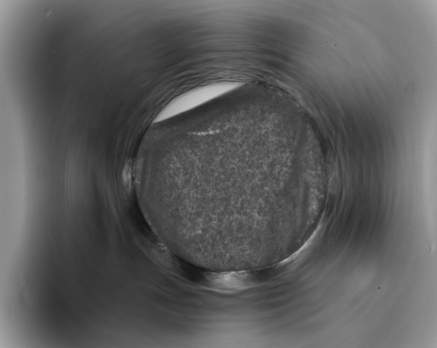 X0000094330191200711301236